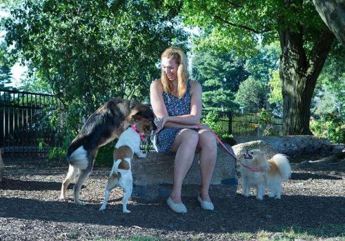 Woman playing with three dogs at Rosedale法院 apartments in Abington, PA